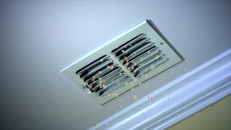 Best Air Duct Mold Removal  in Highlands, NJ